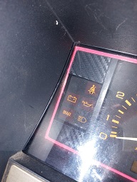 20220912_134425.jpg