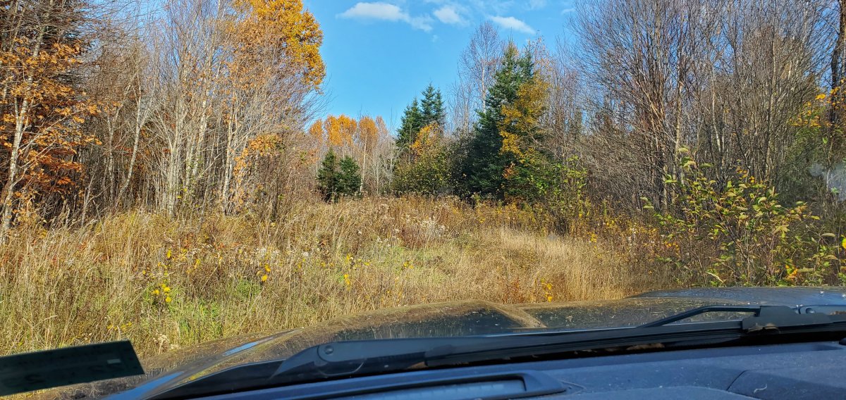 20221016_153636.jpg