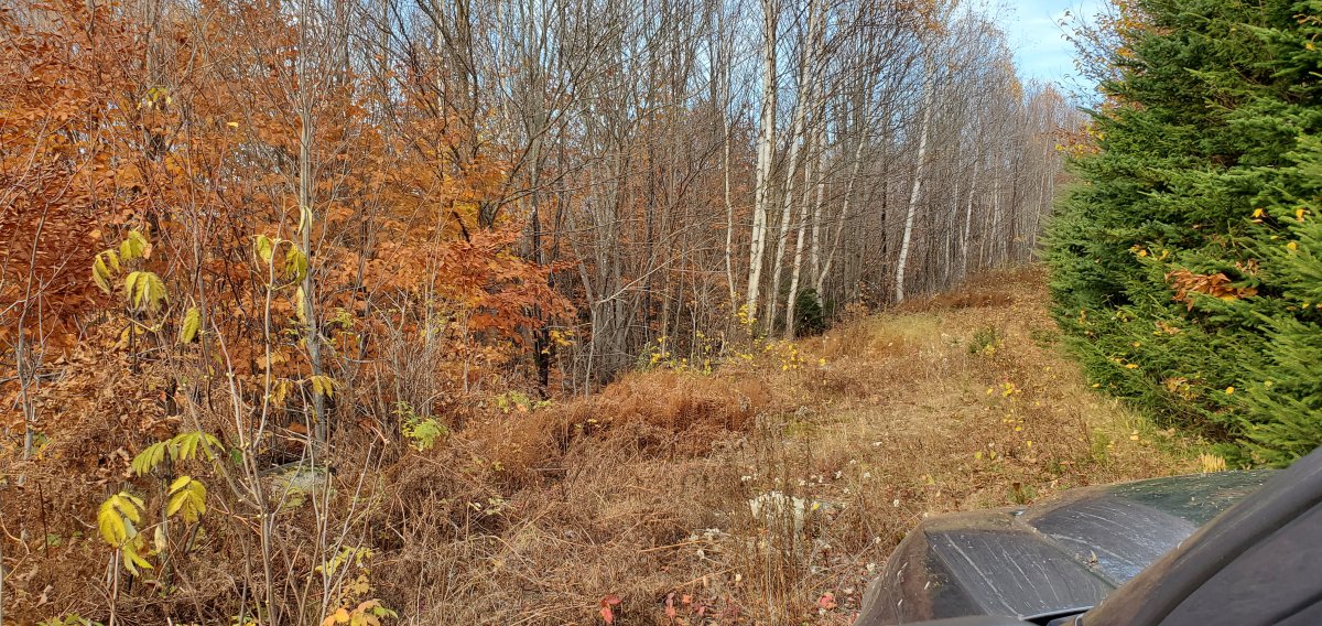 20221016_155133.jpg