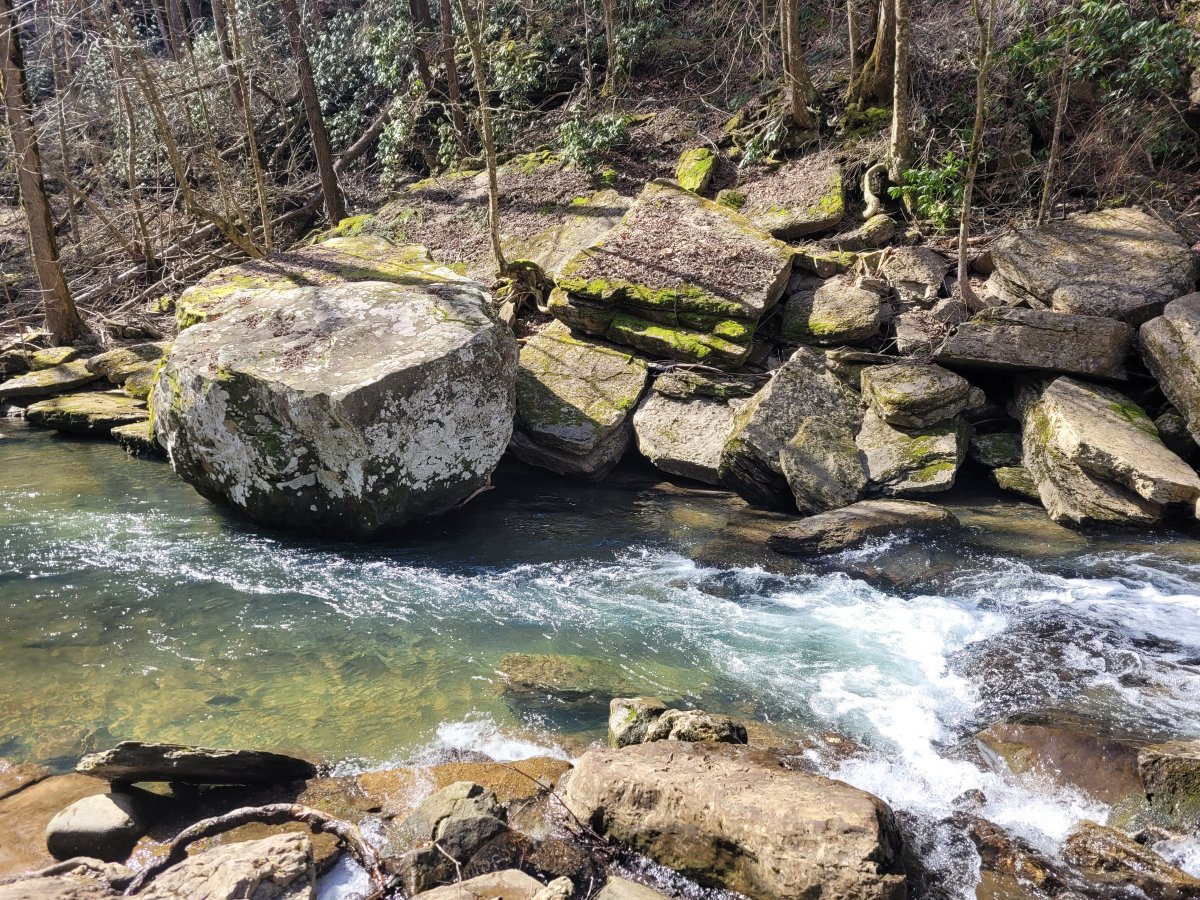 20230316_105454.jpg