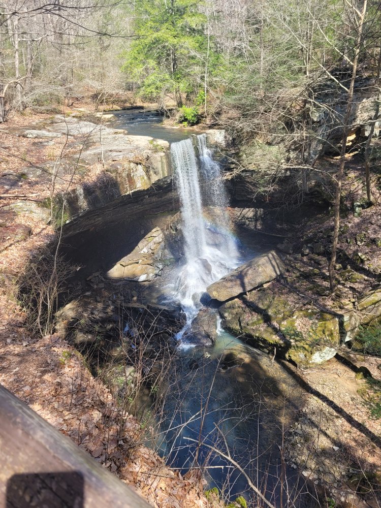 20230316_124102.jpg