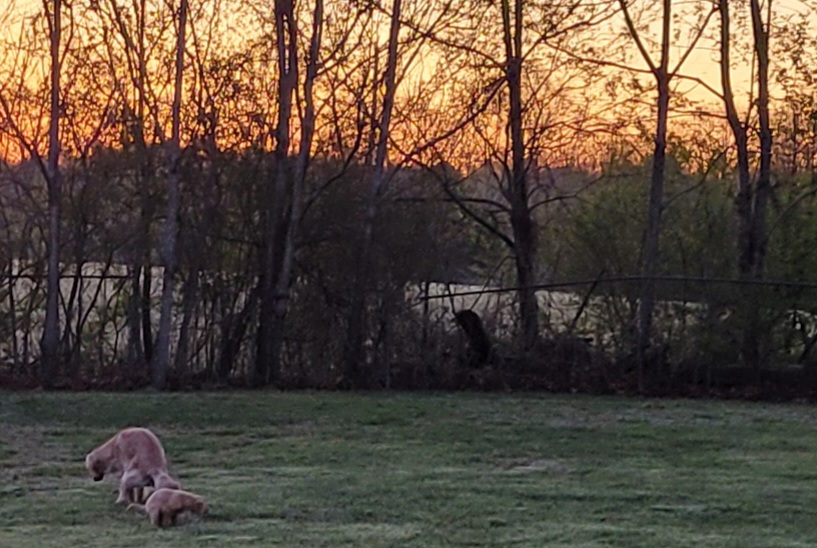 20230402_062116.jpg