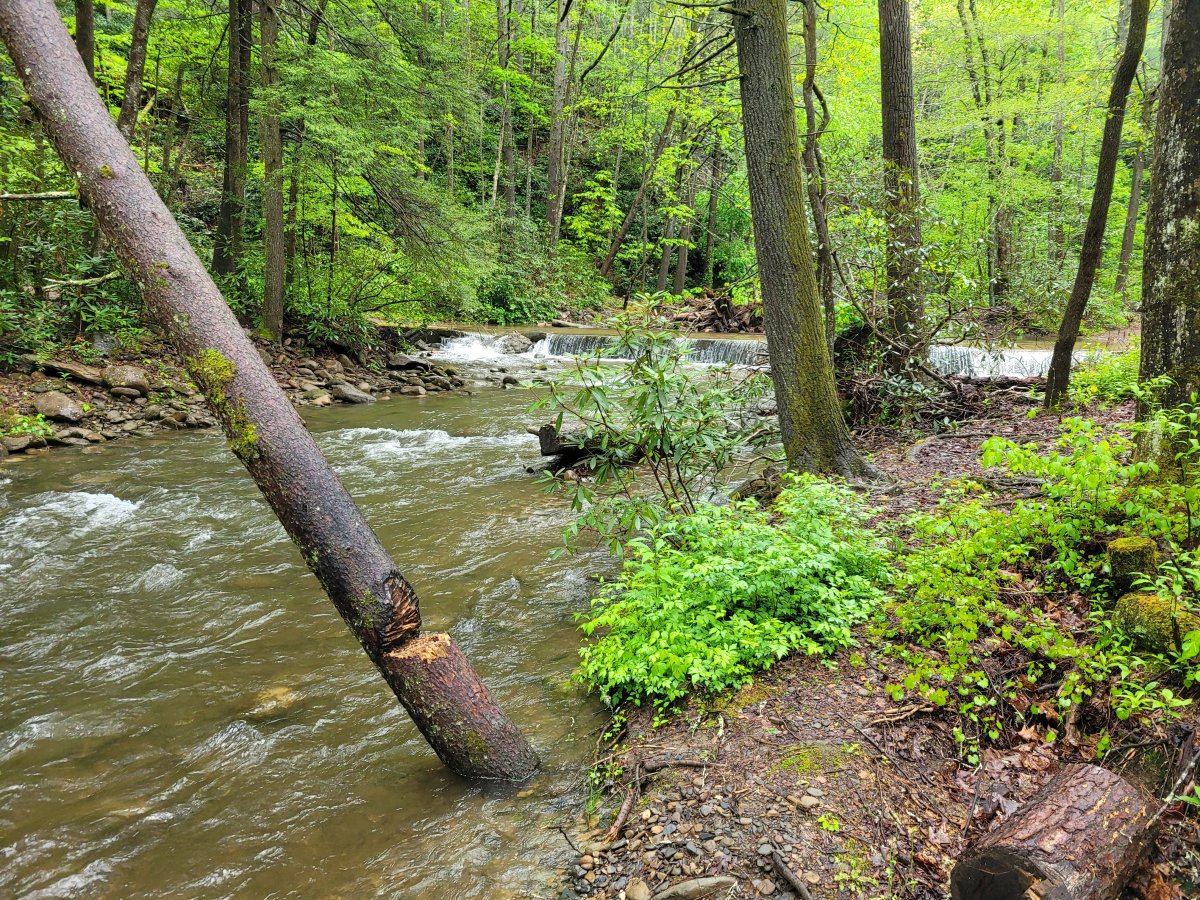 20230427_181646.jpg