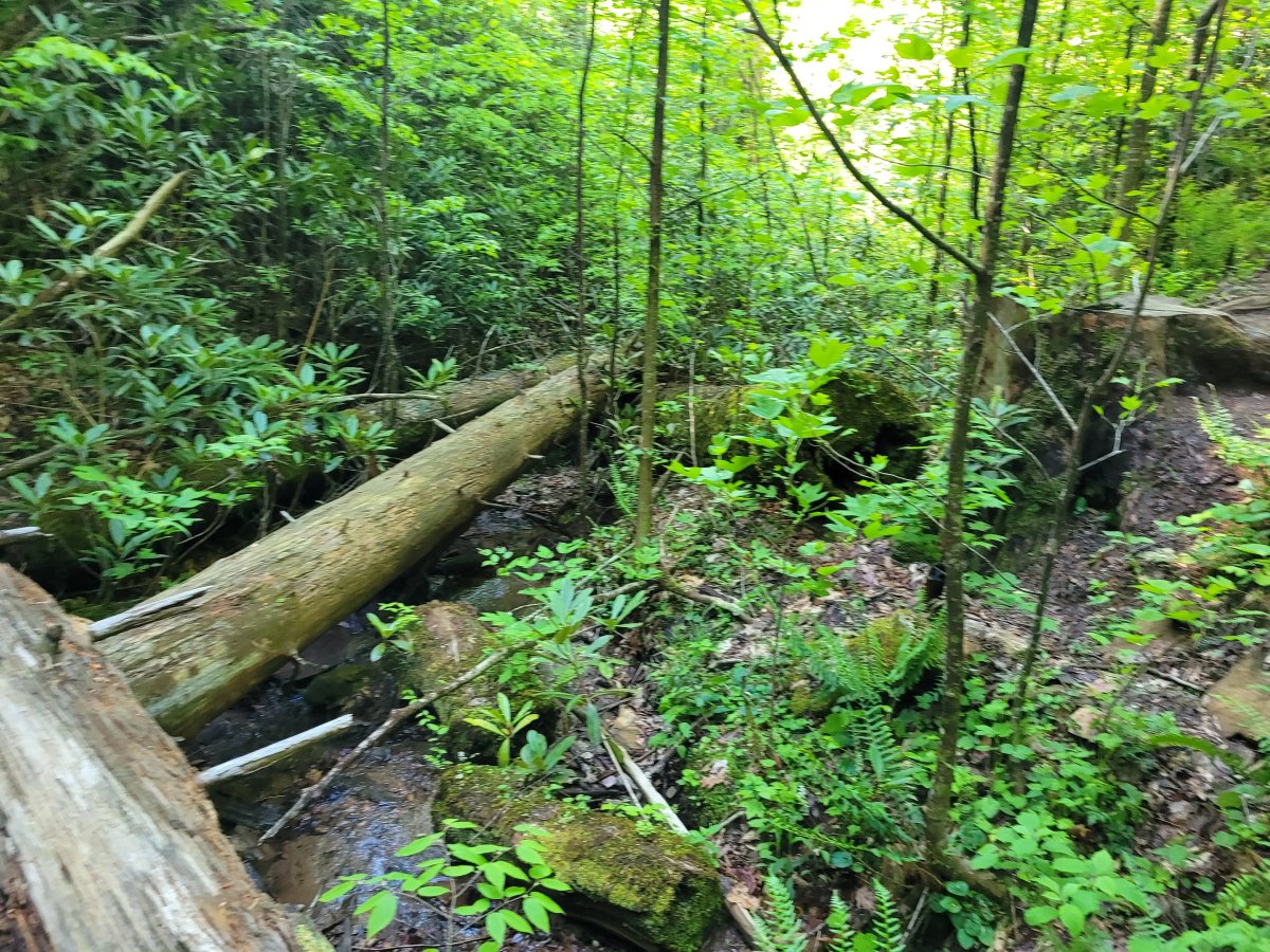 20230429_095736.jpg