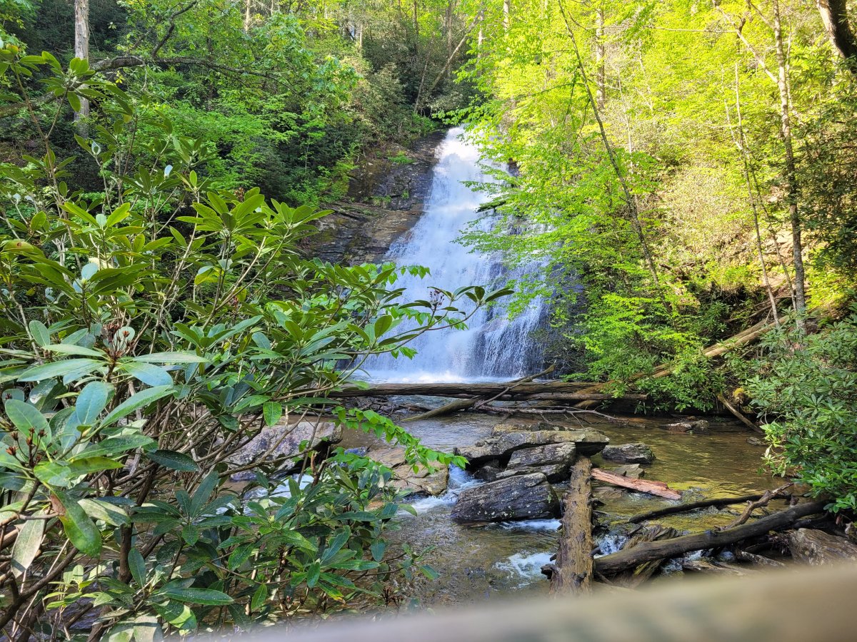 20230429_100323.jpg