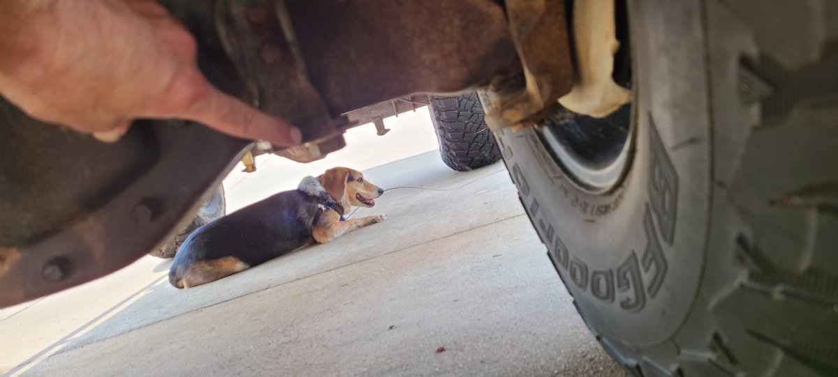 Quick jacking question