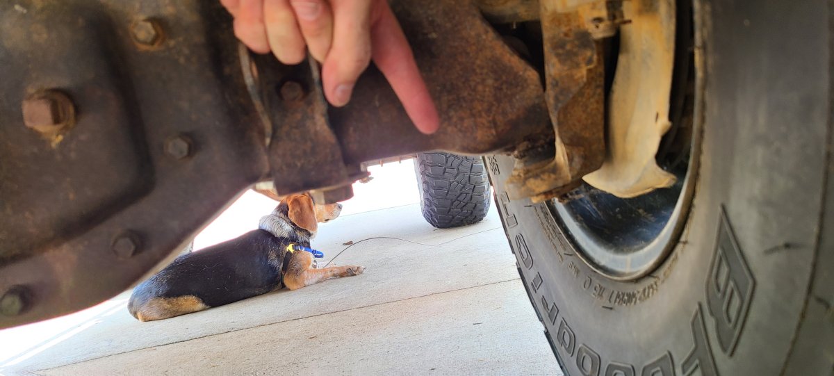 Quick jacking question