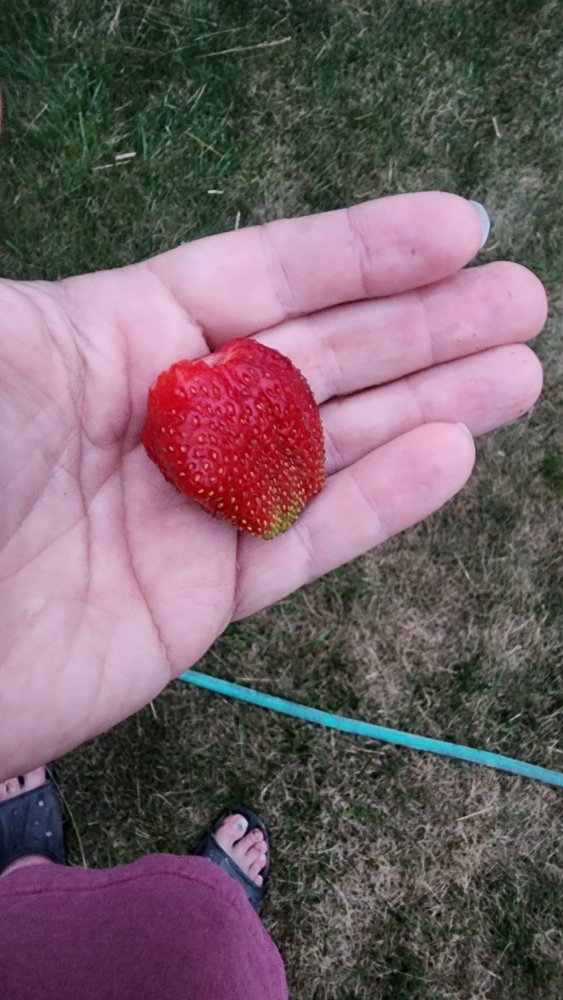 20230623_212204.jpg