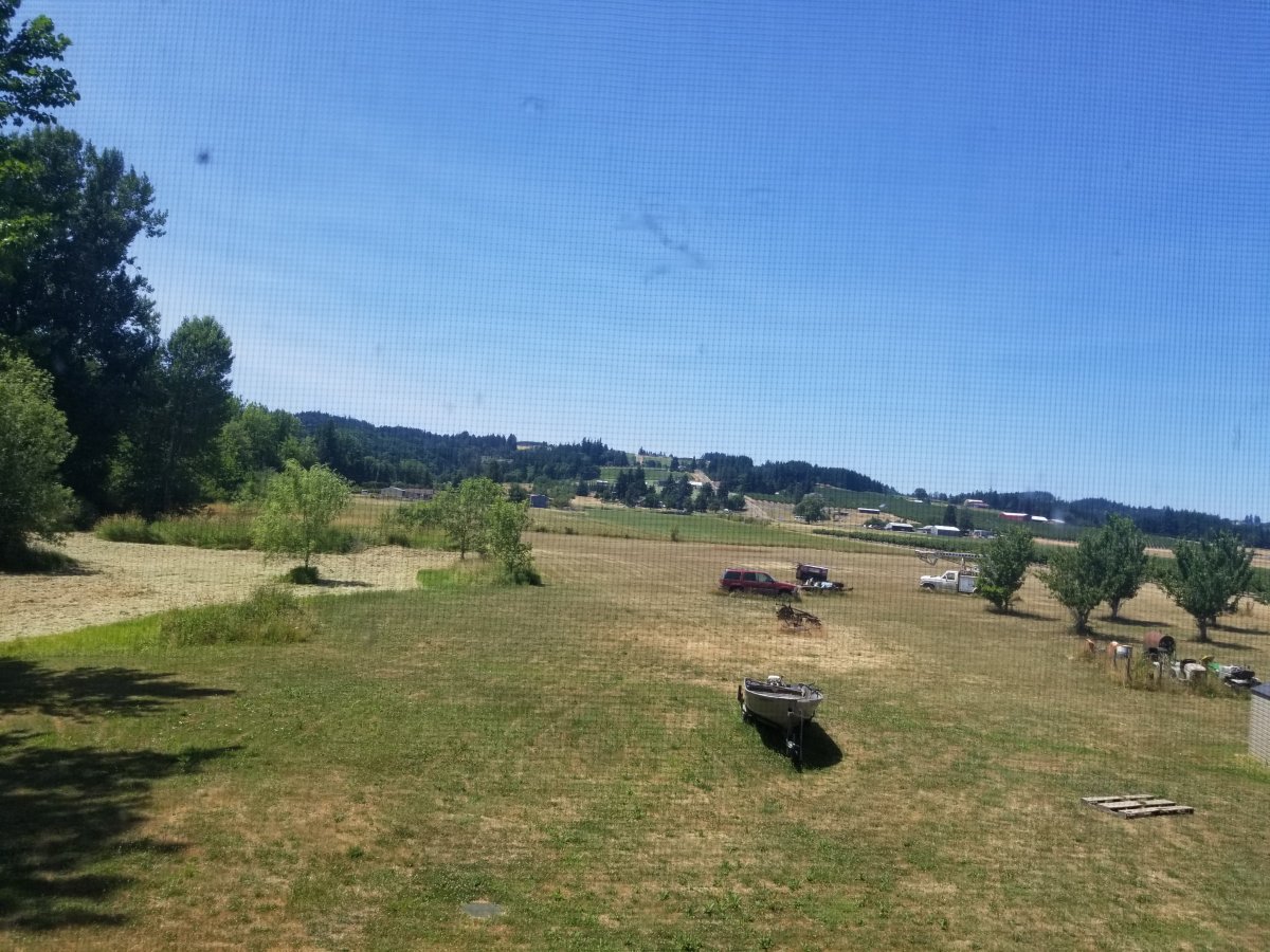 20230703_133302.jpg