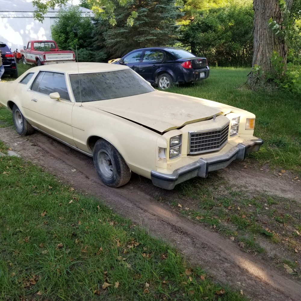 20230710_185601.jpg