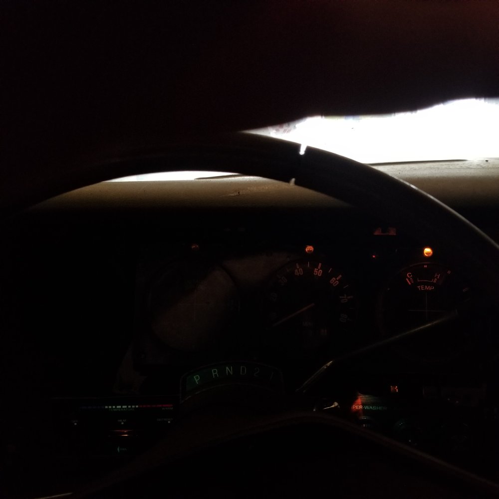 20230711_153208.jpg