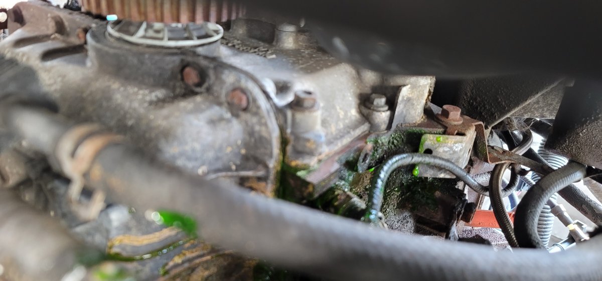 20230731_143417 Coolant leak Bottom spot focus.jpg