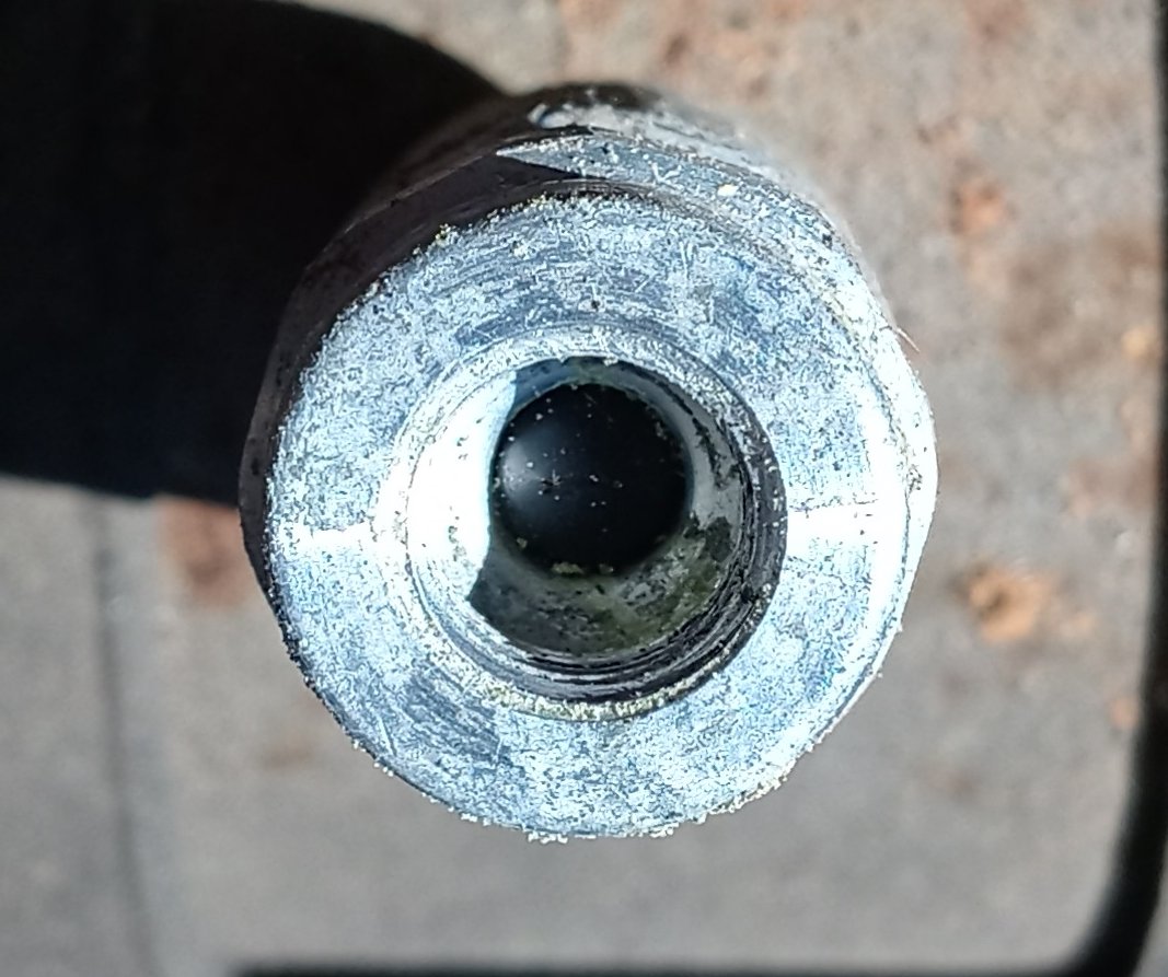 20230801_175156_HDR.jpg
