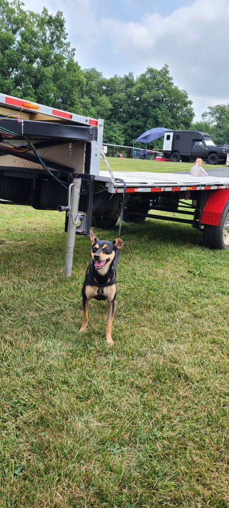Ford Ranger 40th Anniversary - Truck Nationals - Carlisle PA