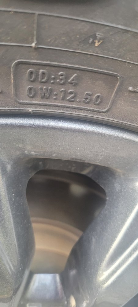 20230825_184207.jpg