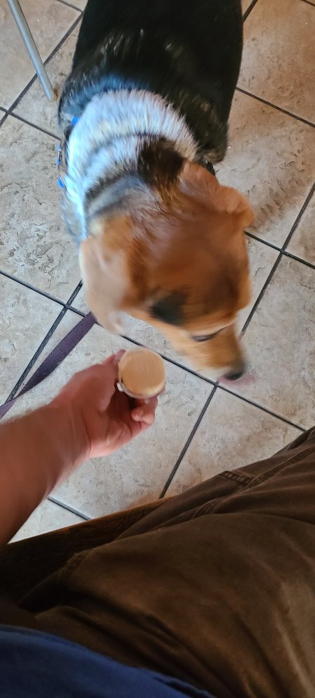 20230826_183016.jpg