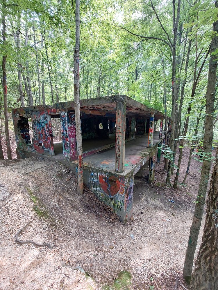 20230909_124558.jpg