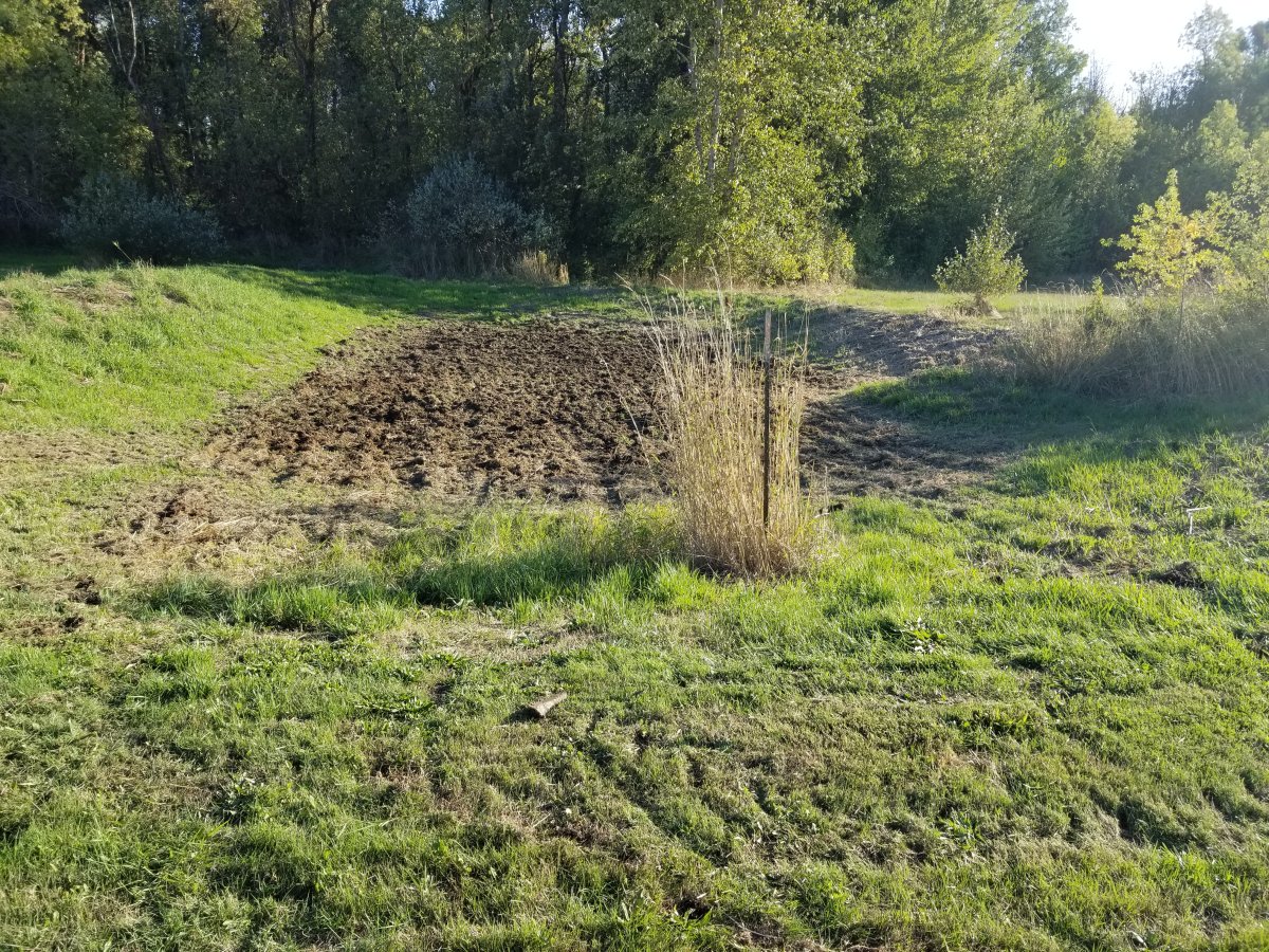 20230930_170329.jpg