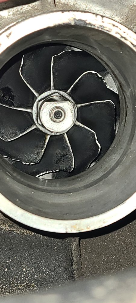 20231113_171800.jpg