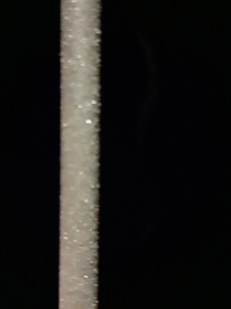 20231201_191617.jpg
