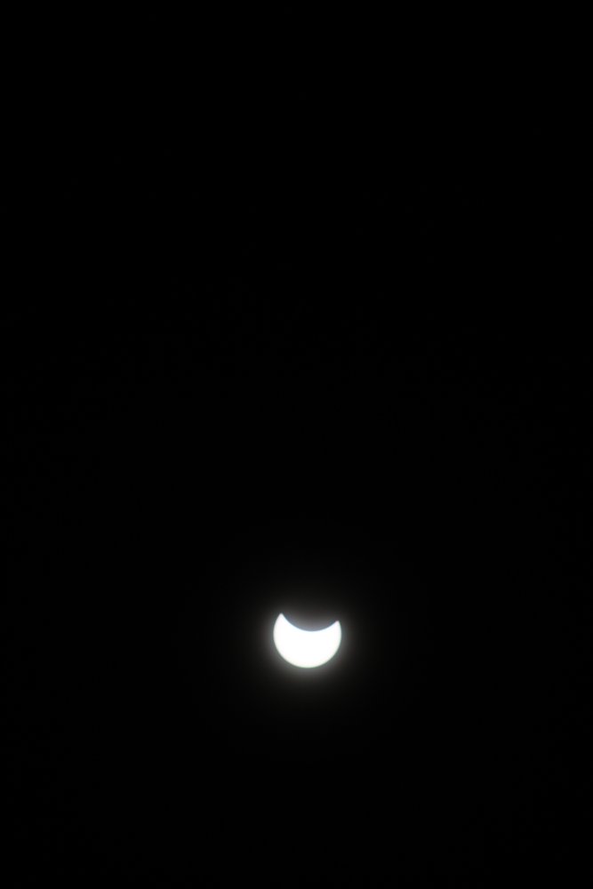 20240408145331_IMG_3021.JPG