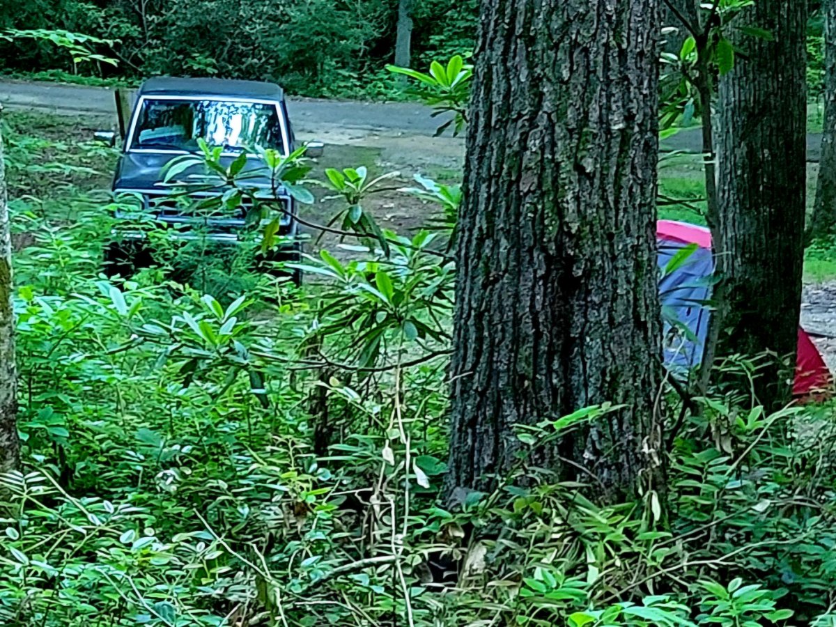 20240614_195219.jpg