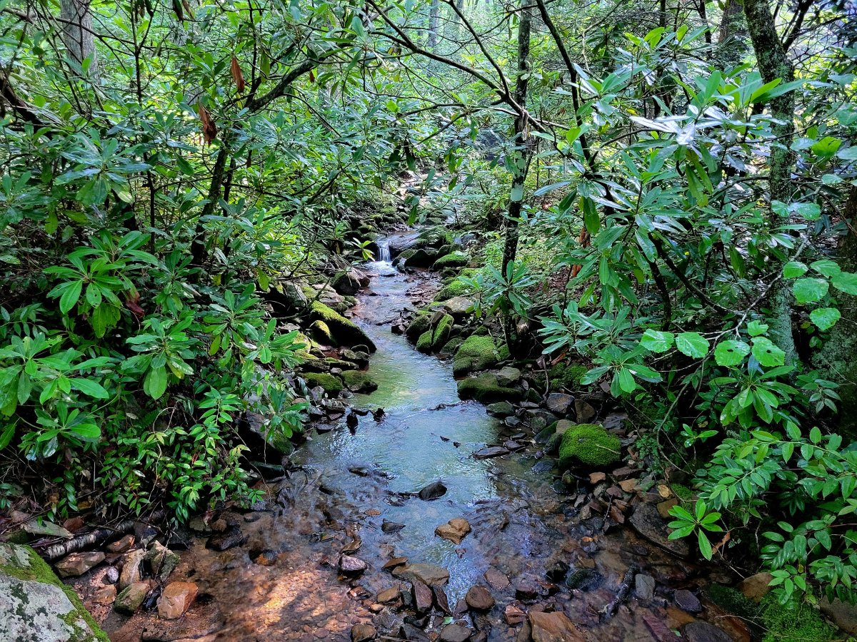 20240615_101207.jpg