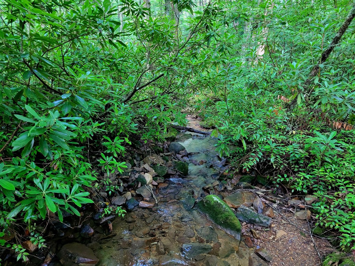20240615_101221.jpg