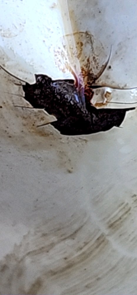 20240624_192408.jpg