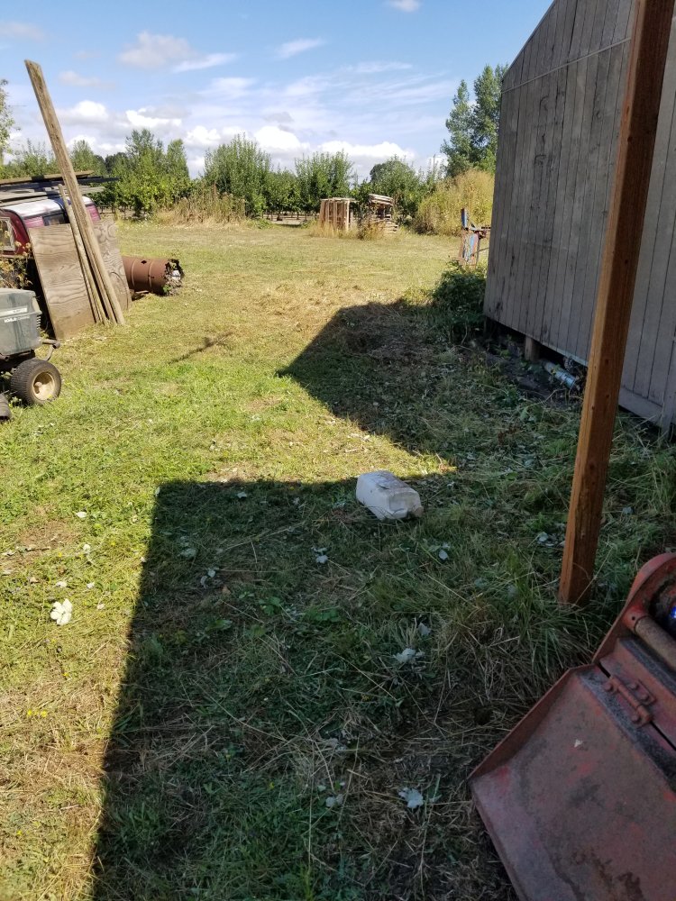 20240825_113615.jpg