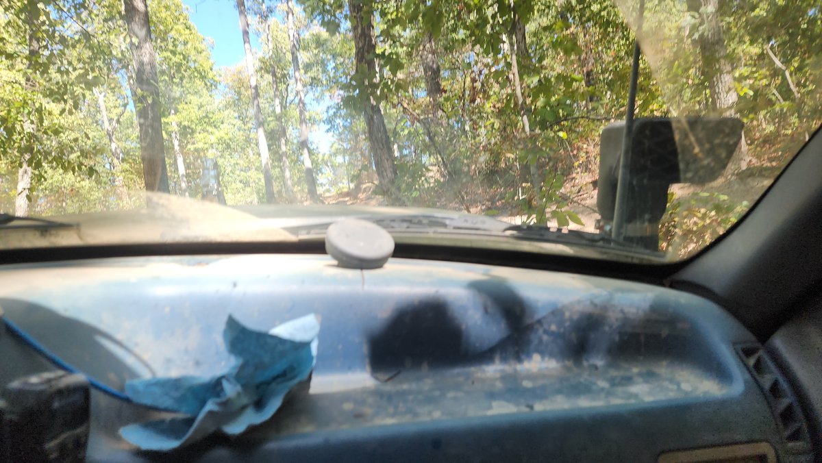 20240907_151831.jpg
