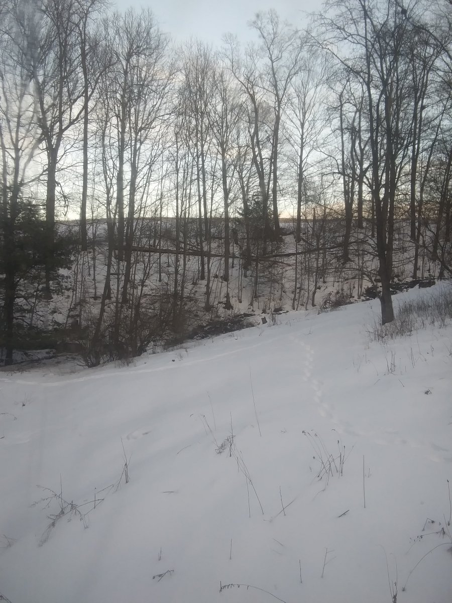 20250222_173708.jpg