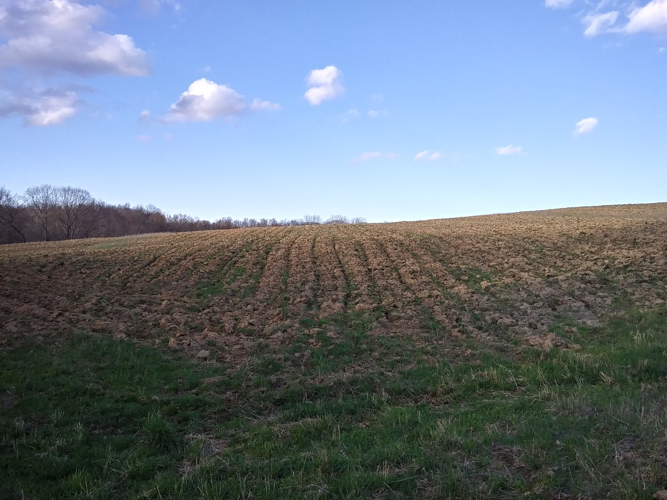 20250416_184118_HDR.jpg