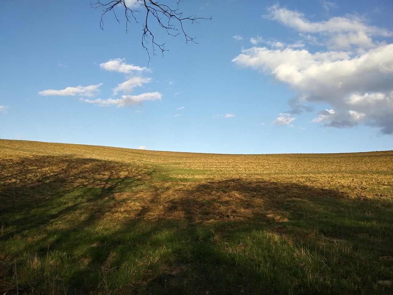 20250416_184522_HDR.jpg