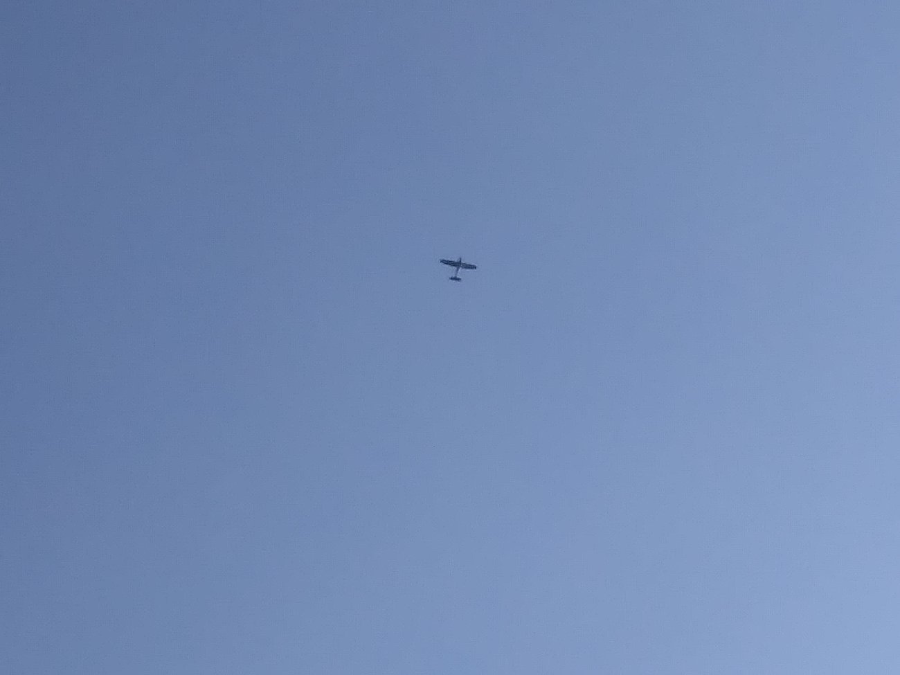 20250602_180230.jpg