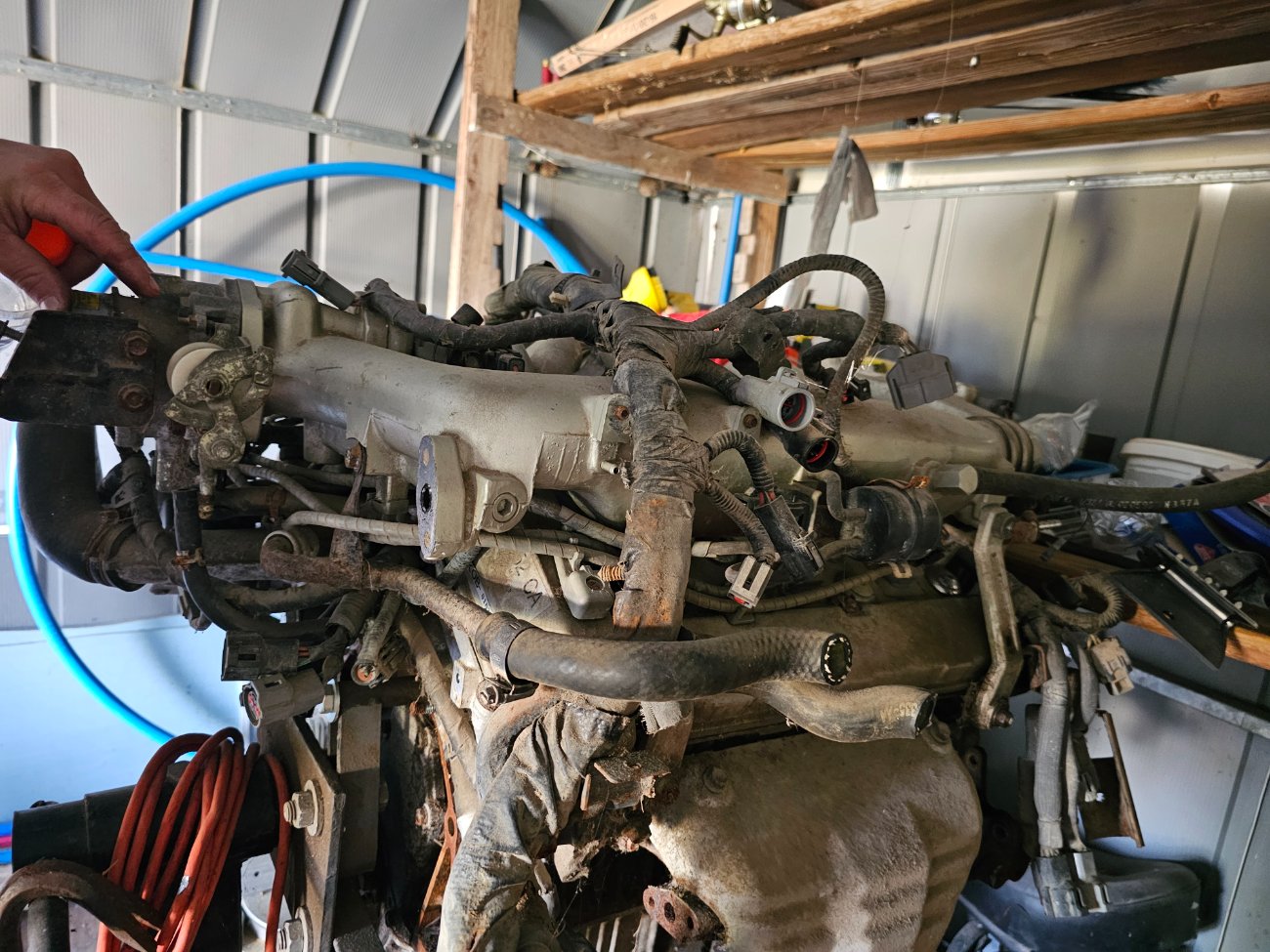 1994 SHO 3.2 and 3.0 M5OD