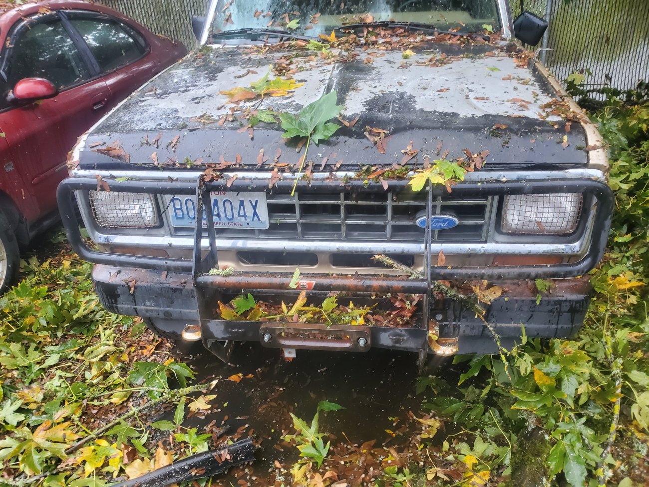 20251025_170642.jpg 20251025_170642.jpg