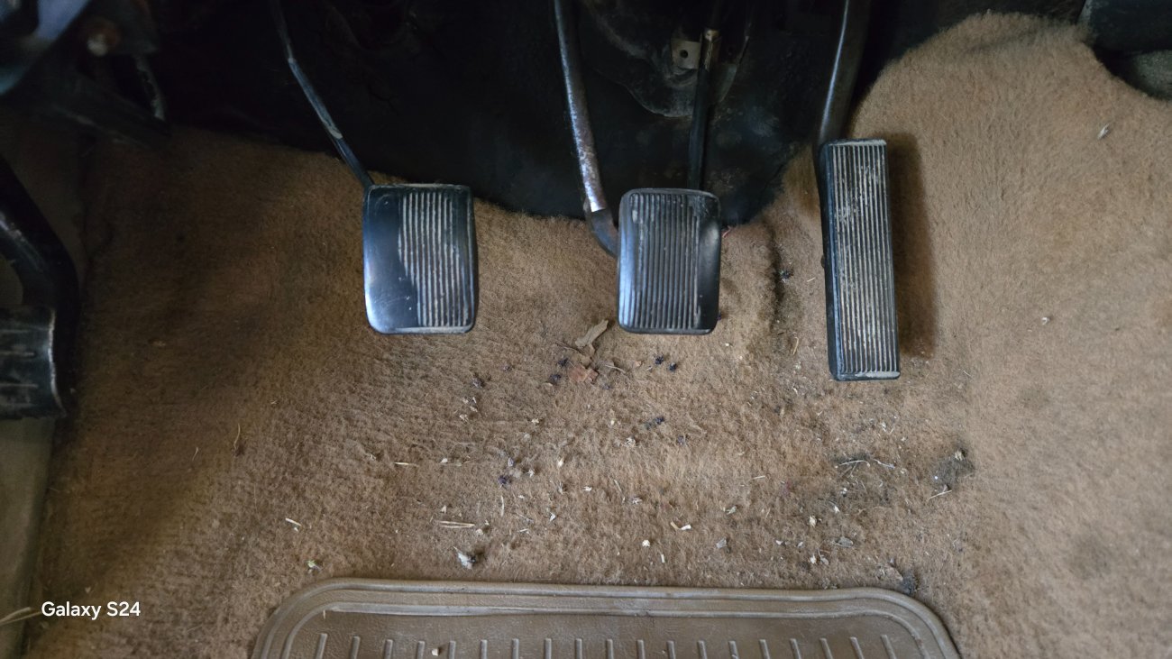 20251030_175627.jpg 20251030_175627.jpg