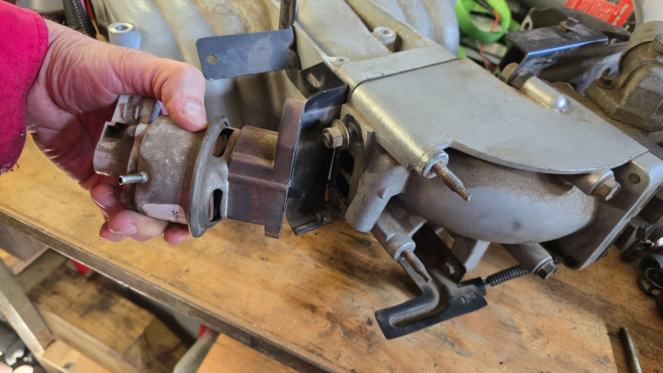 93 Splash in SC, V8-Swap version