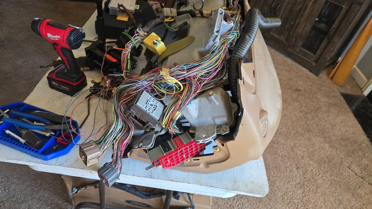 93 Splash in SC, V8-Swap version