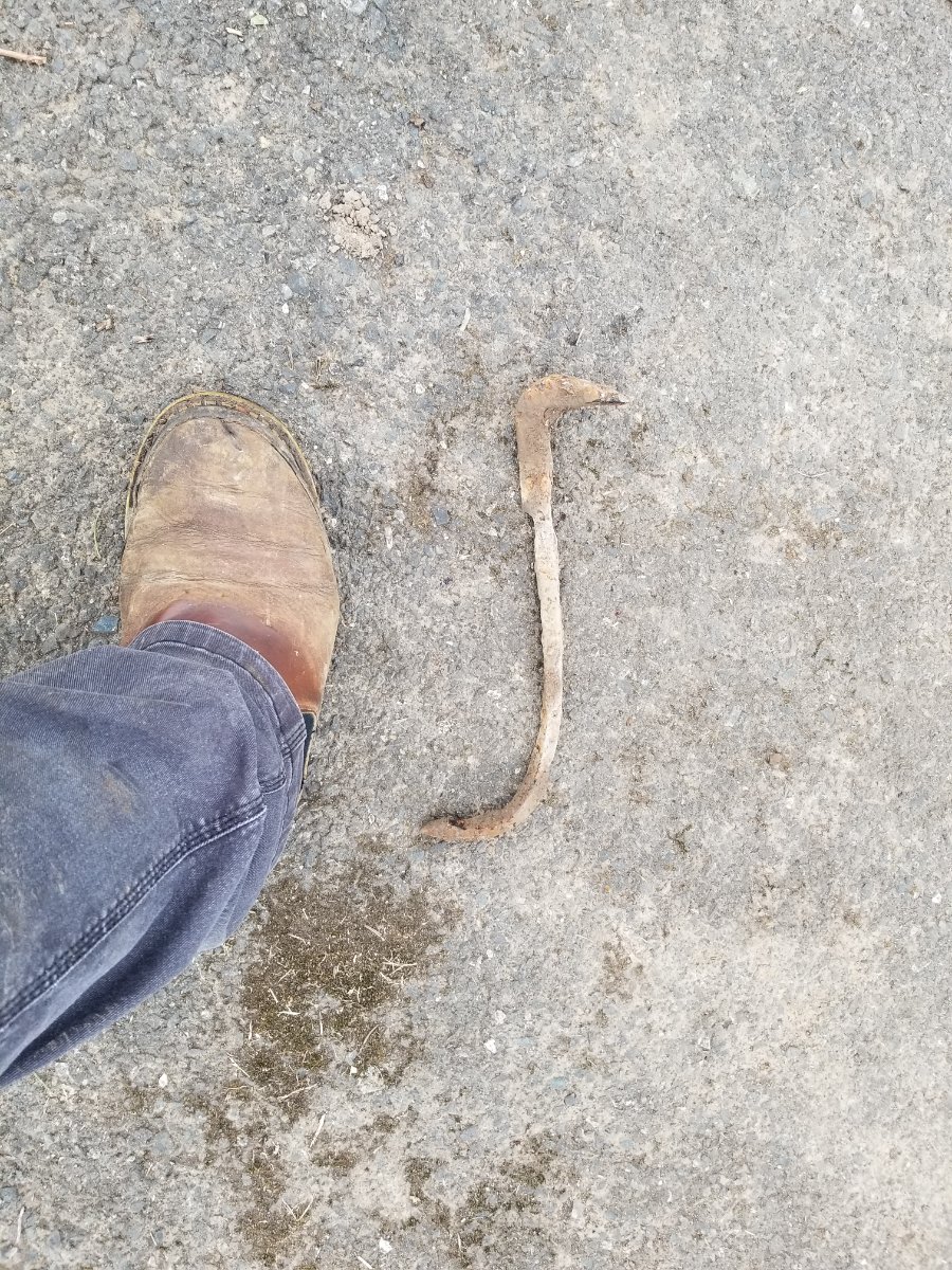 What did YOU do today?