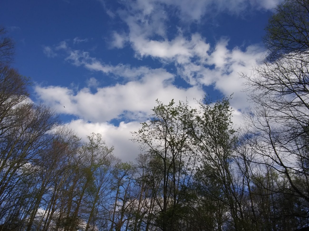 WHO HAS SOME BEAUTIFUL PICTURES TO SHARE?????