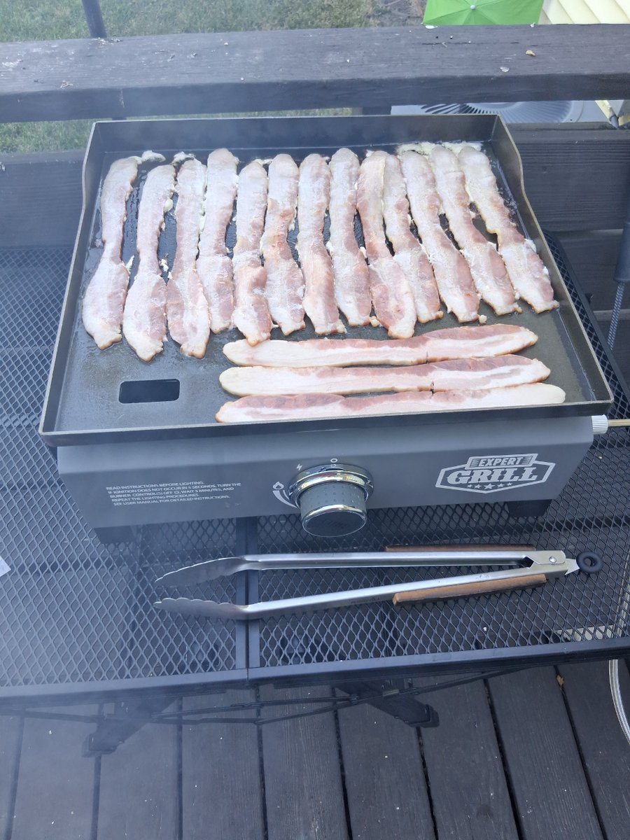What did YOU do today?