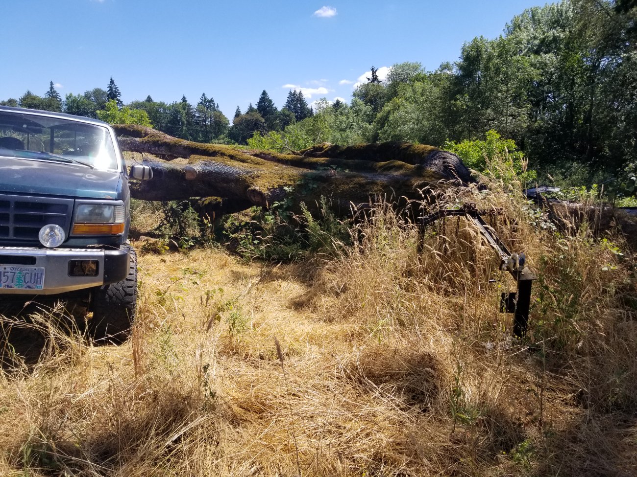 What did YOU do today?