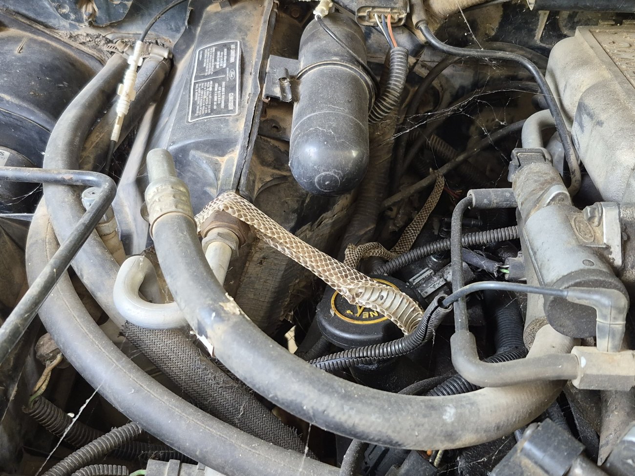 What did you do to your Ranger today? (Part Deux!)