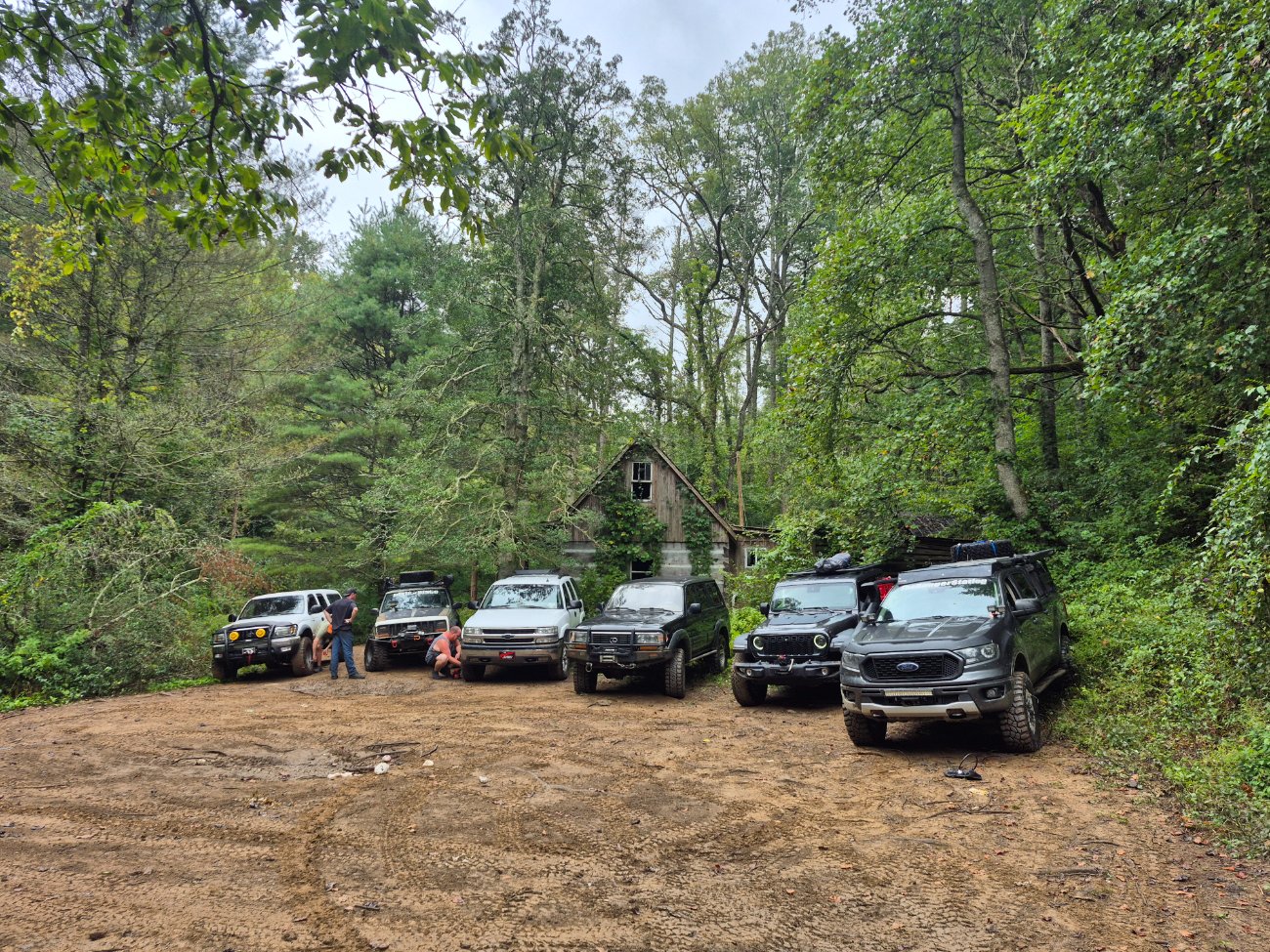 "The Grey Squirrel" My 2020 XLT Sport 4x4