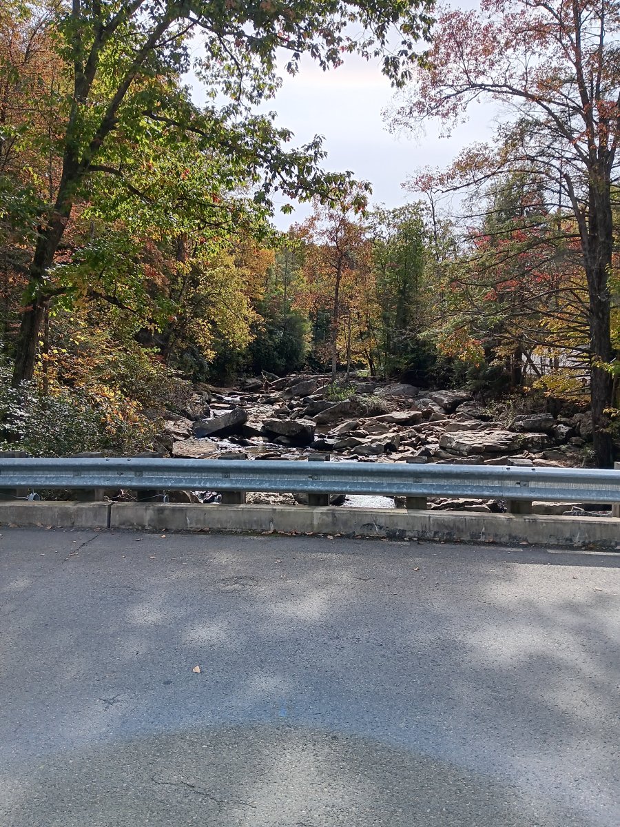 2026 Fall Colors Campout