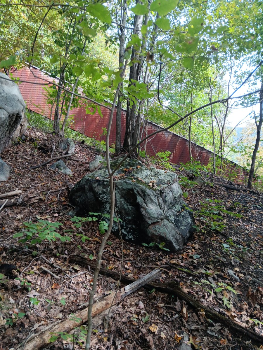 20261009_150939.jpg