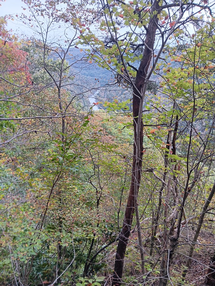 2026 Fall Colors Campout