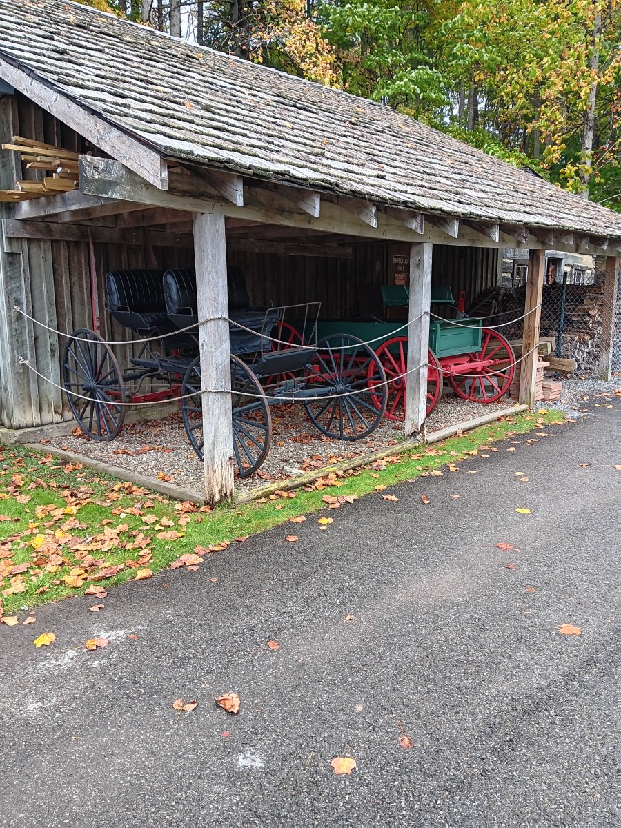 2026 Fall Colors Campout